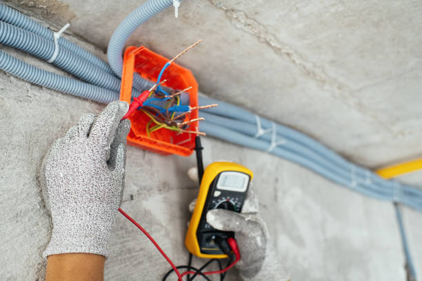 Best Electric Panel Repair  in , CA